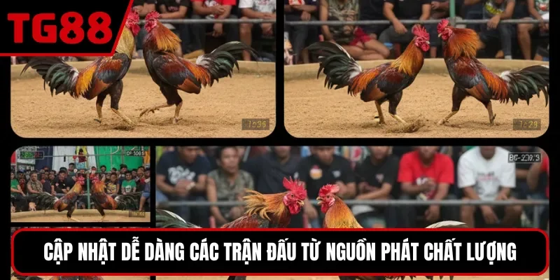 Cập nhật dễ dàng các trận đấu từ nguồn phát chất lượng