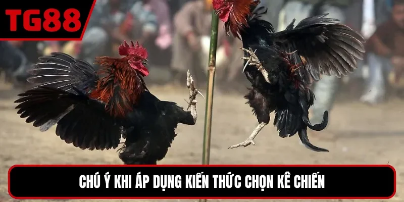 Chú ý khi áp dụng kiến thức chọn kê chiến