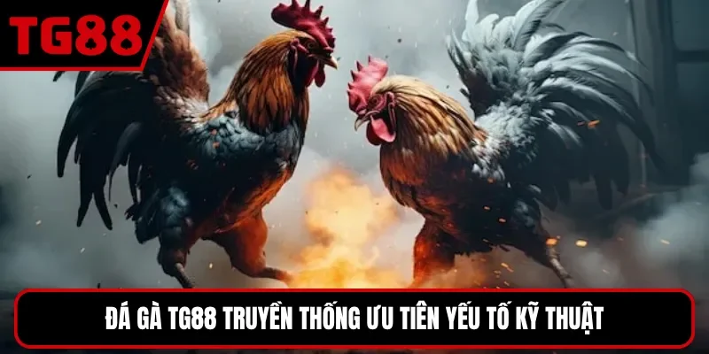 Đá gà TG88 sở hữu nhiều ưu điểm khiến khách hàng hài lòng