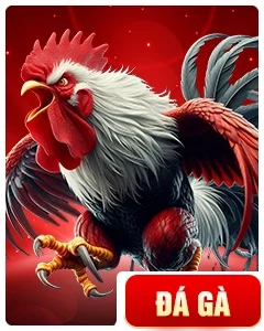 da-ga-tg88