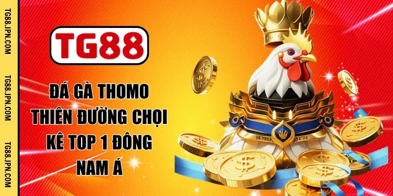 đá gà thomo