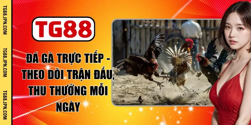 đá gà trực tiếp