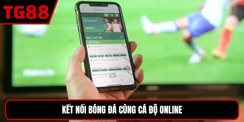 Kết nối bóng đá cùng cá độ online