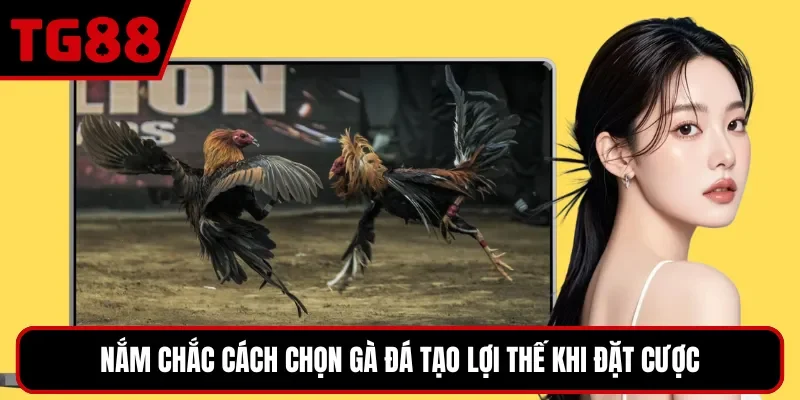 Nắm chắc cách chọn gà đá tạo lợi thế khi đặt cược