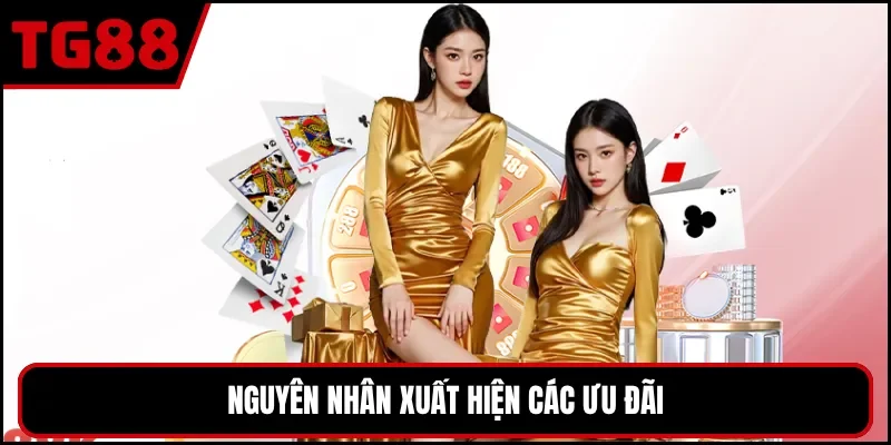 Nguyên nhân xuất hiện các ưu đãi