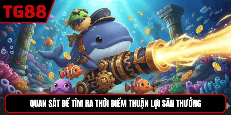 Quan sát để tìm ra thời điểm thuận lợi săn thưởng