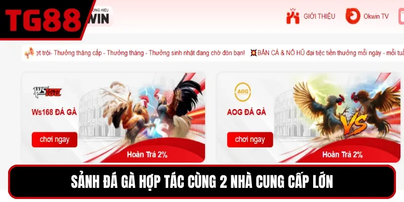 Sảnh đá gà hợp tác cùng 2 nhà cung cấp lớn
