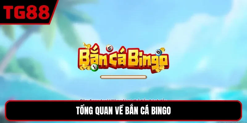 Tổng quan về bắn cá bingo