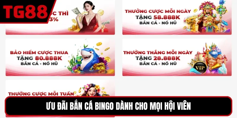 Ưu đãi bắn cá bingo dành cho mọi hội viên
