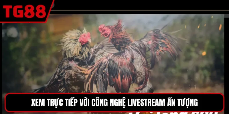 Xem trực tiếp với công nghệ livestream ấn tượng